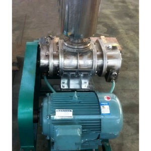 不銹鋼羅茨風(fēng)機